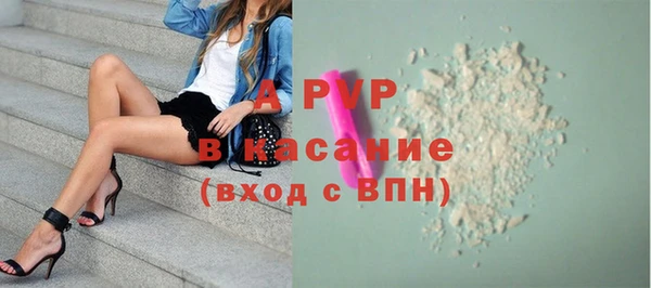 спиды Нефтекумск