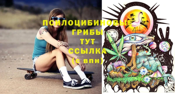 спайс Баксан